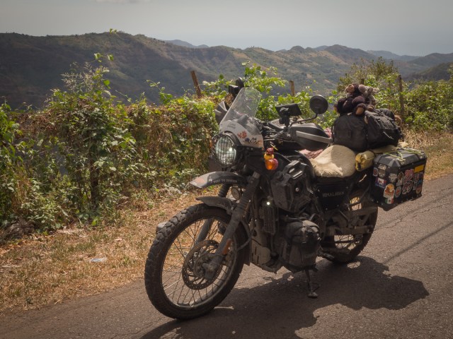Clare's Himalayan in El Salvador.